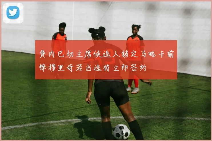费内巴切主席候选人锁定马略卡前锋穆里奇若当选将立即签约