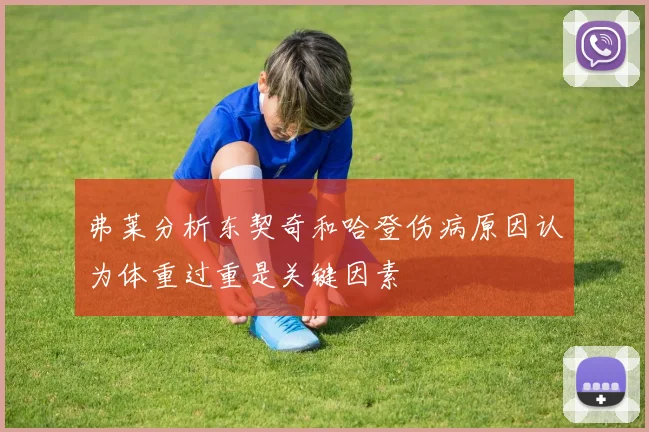 弗莱分析东契奇和哈登伤病原因认为体重过重是关键因素